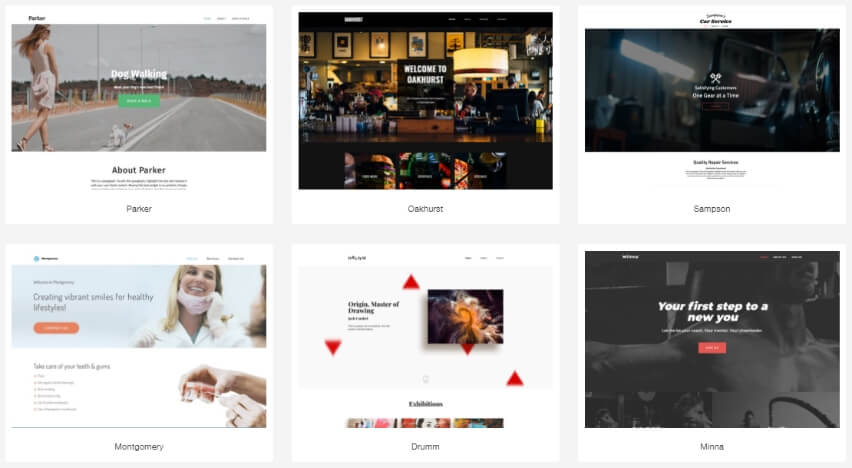 6 templates from the range including a dog walking business and a dentist